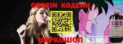 индика Жуковский