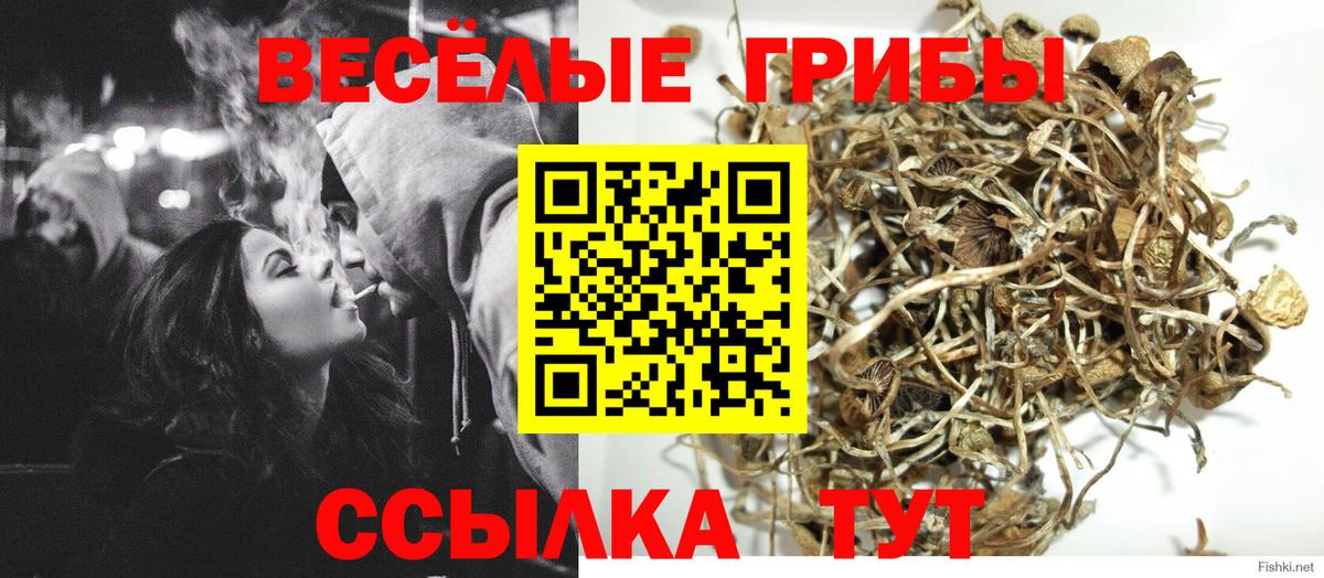магазин продажи наркотиков  Вход с VPN  Губкинский  Псилоцибиновые грибы ЛСД  Галлюциногенные грибы GOLDEN TEACHER 