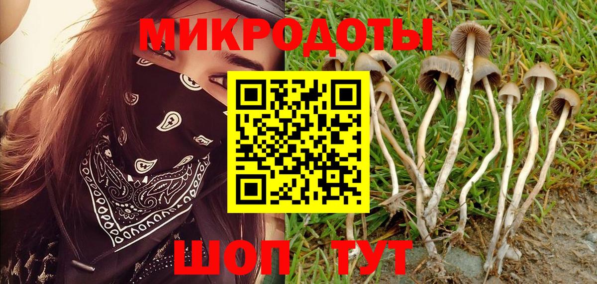 Галлюциногенные грибы мухоморы Губкинский